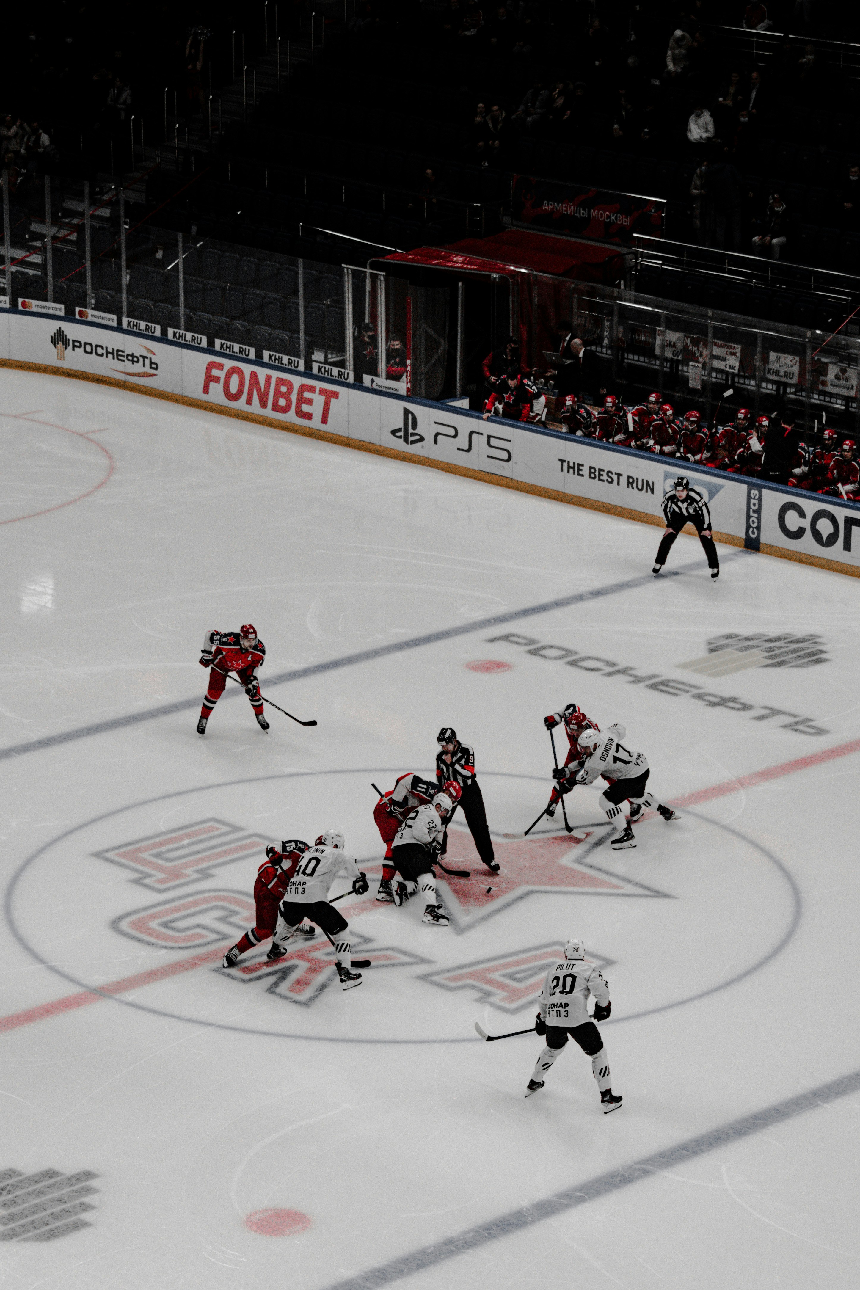 ice hockey players on ice hockey stadium